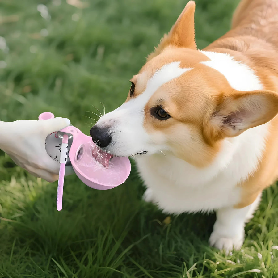 Hund trinkt aus dem Napf der 2-in-1-Flasche