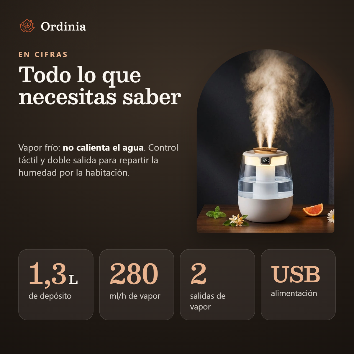 Humidificador de vapor frío: depósito de 1,3 L, 280 ml/h, 2 salidas de vapor y alimentación USB